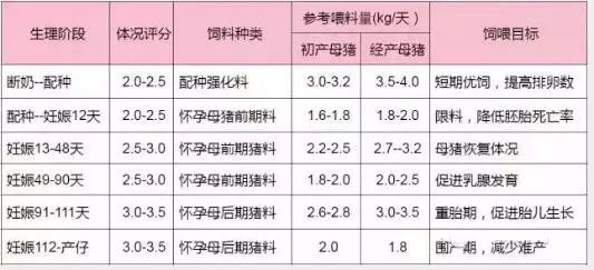 妊娠母猪建议饲喂方案