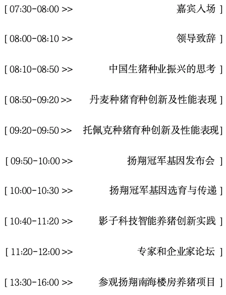 日程安排
