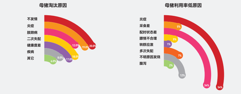 母猪淘汰及利用率低的原因分析