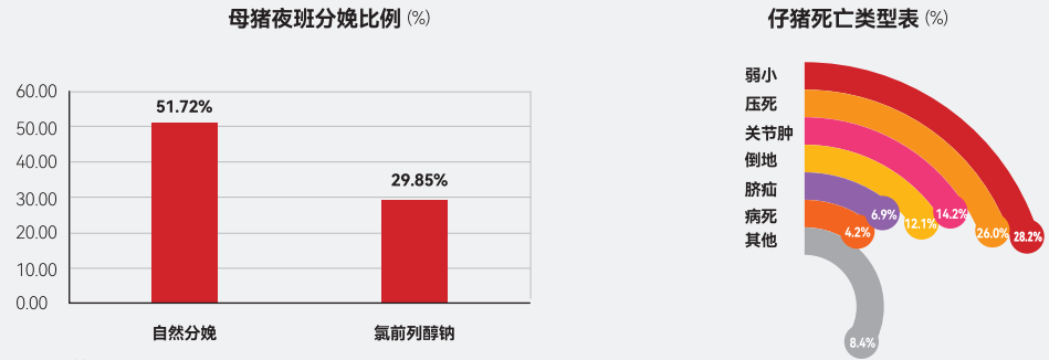 母猪夜间分娩比例及仔猪死亡类型