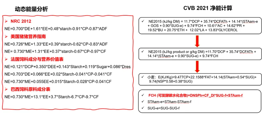 小麦的动态能量分析（cvb，2021）