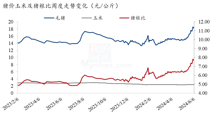 猪粮比走势