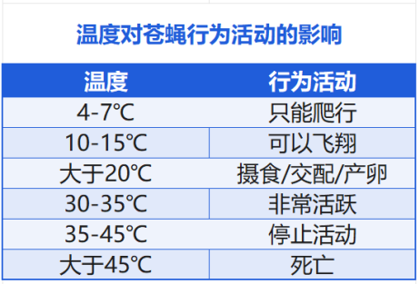 温度对苍蝇行为活动的影响