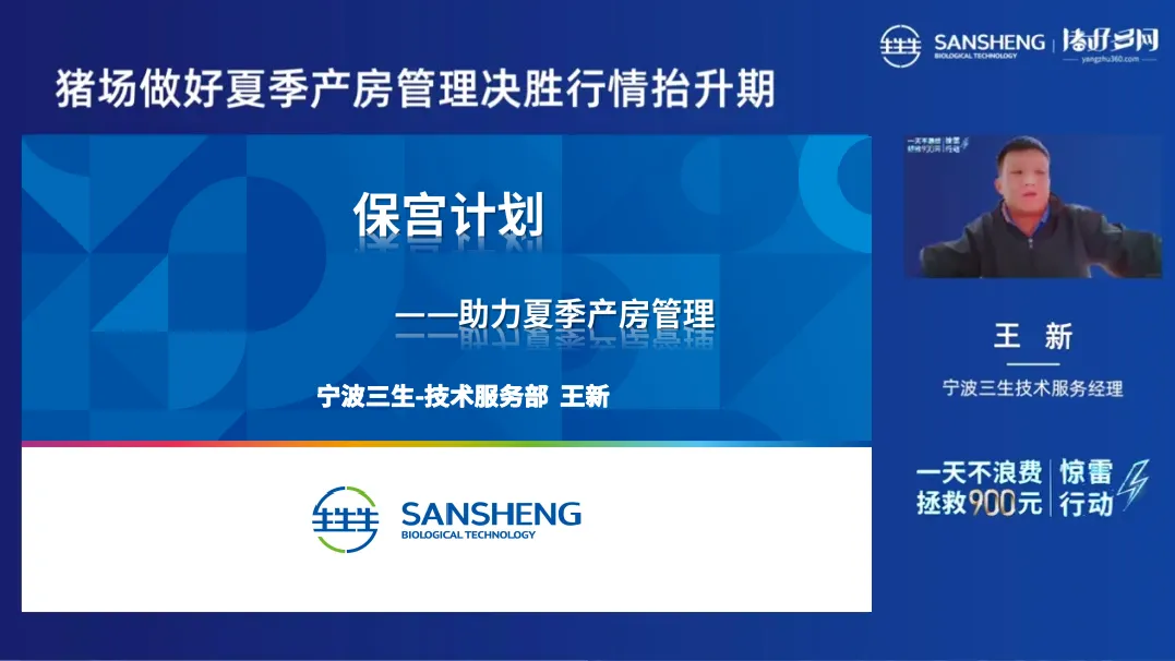 王新