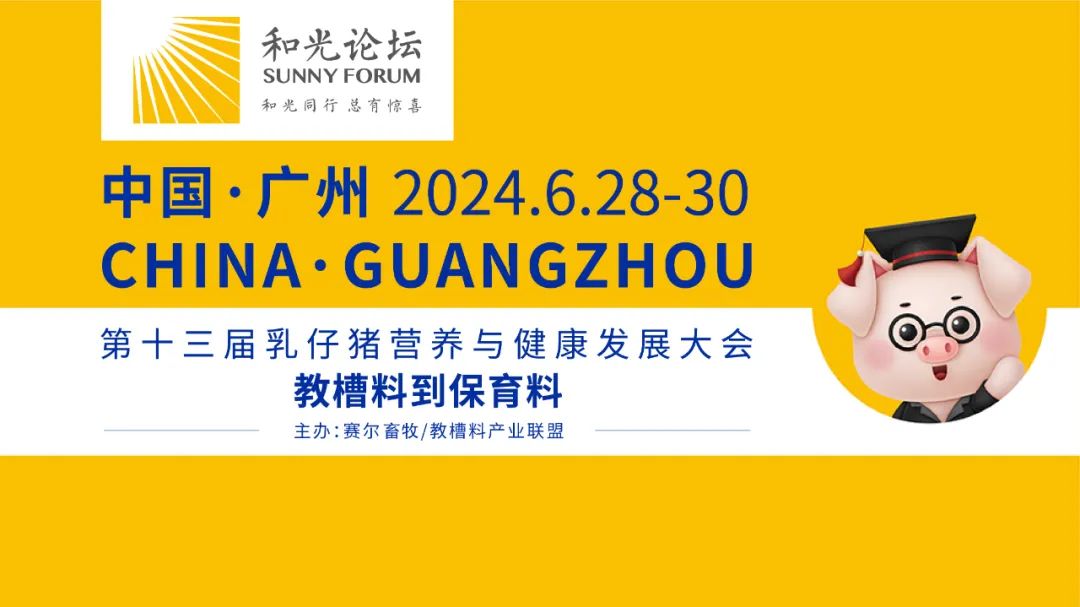 千人齐聚！2024和光论坛最全参会攻略请您查收