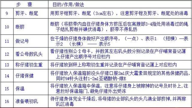 接产清单