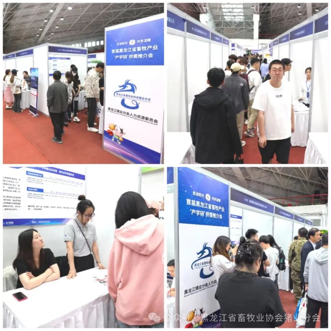 第二届(2024)黑龙江省养猪行业人力资源论坛暨校企人才双选会顺利召开