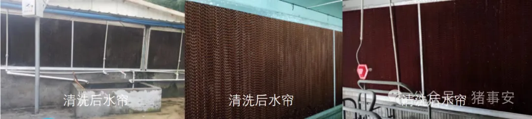 水帘清洗消毒流程