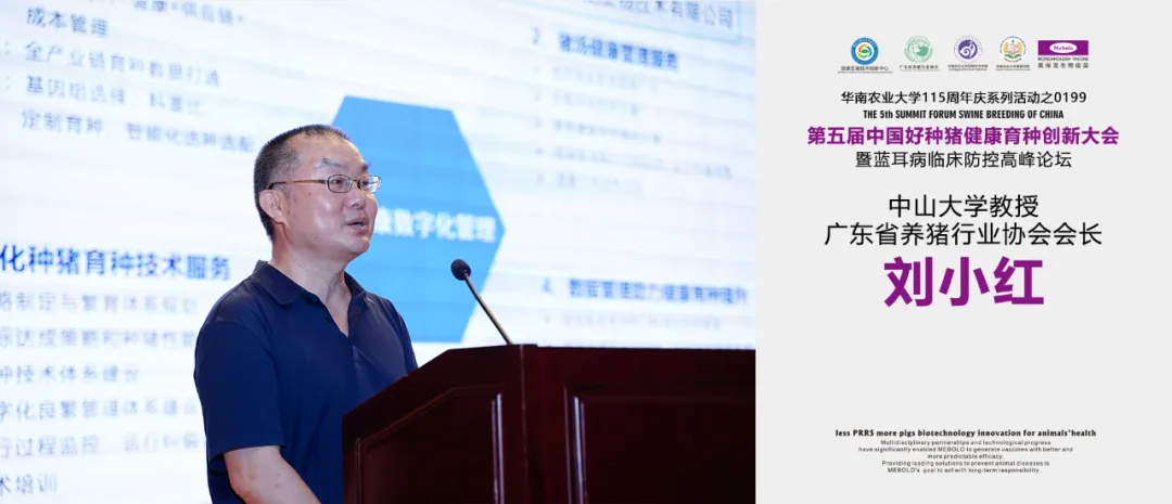 刘小红