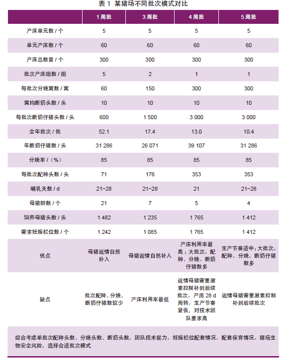 不同批次模式对比