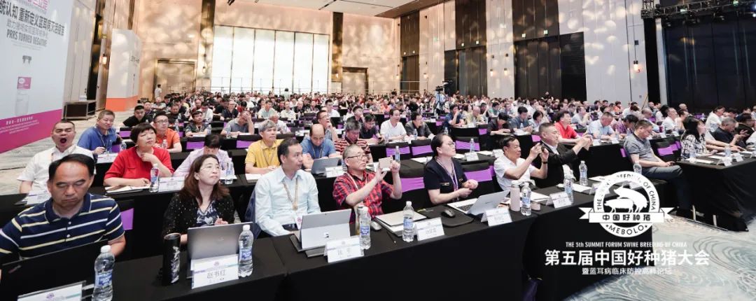 共话无蓝中国好种猪培育！第五届中国好种猪大会在广州胜利闭幕