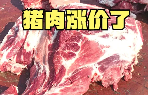 猪肉涨价