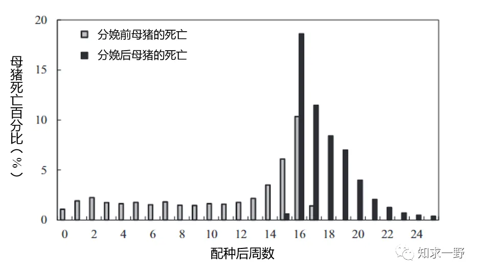 配种后周数