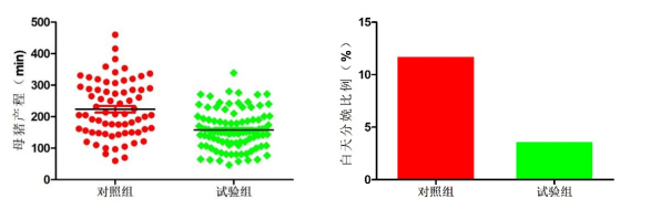 母猪产程分布  母猪产程分布