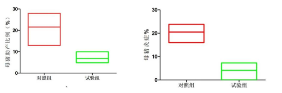 母猪助产比例 母猪产后炎症比例