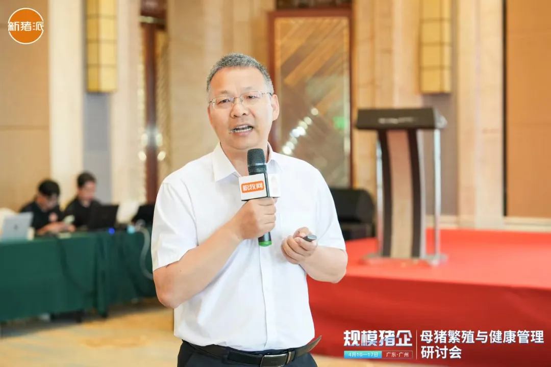 王连想