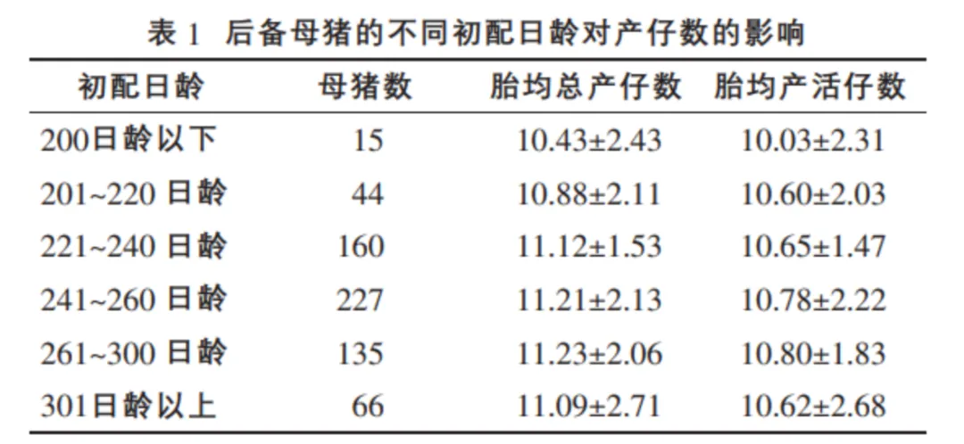 后备母猪不同初配日龄对产仔数的影响