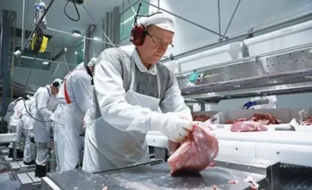 猪肉