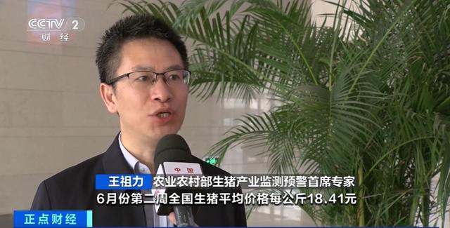王祖力