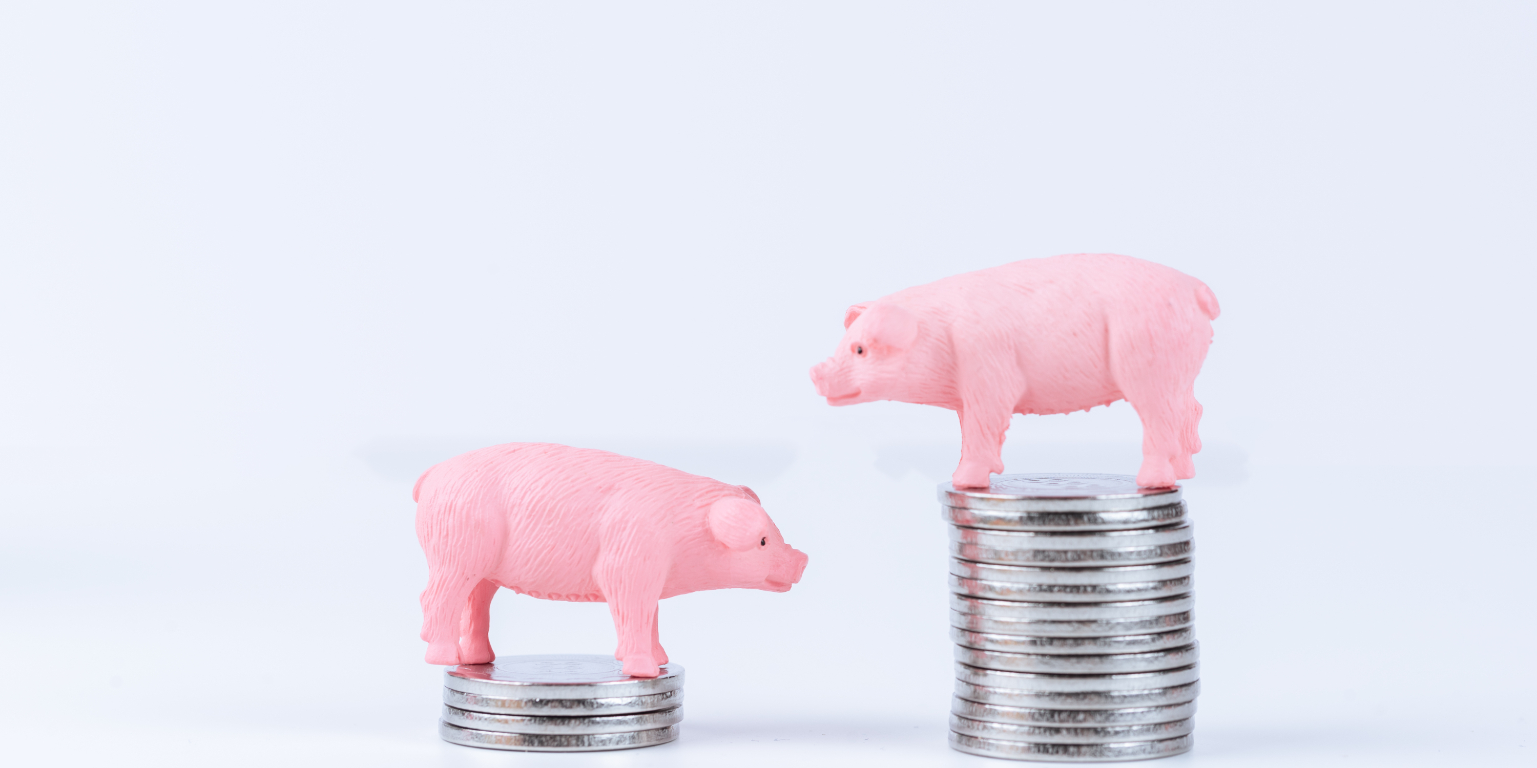 猪价上涨，养猪成本不断降低，新希望看到了希望？