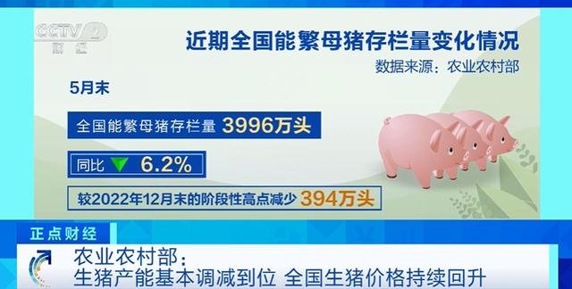 能繁母猪存栏变化