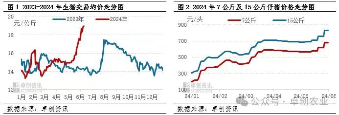 生猪价格 、仔猪价格走势