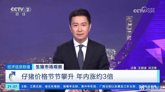 仔猪价格攀升，或年内涨约3倍