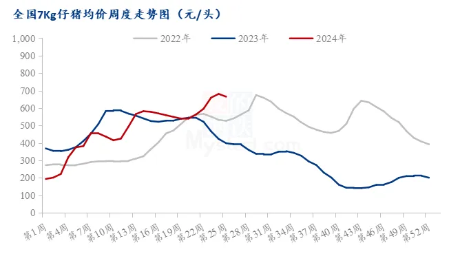 全国7kg仔猪均价周度走势