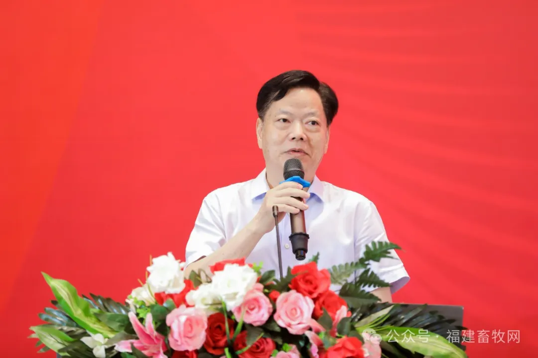 黄一帆