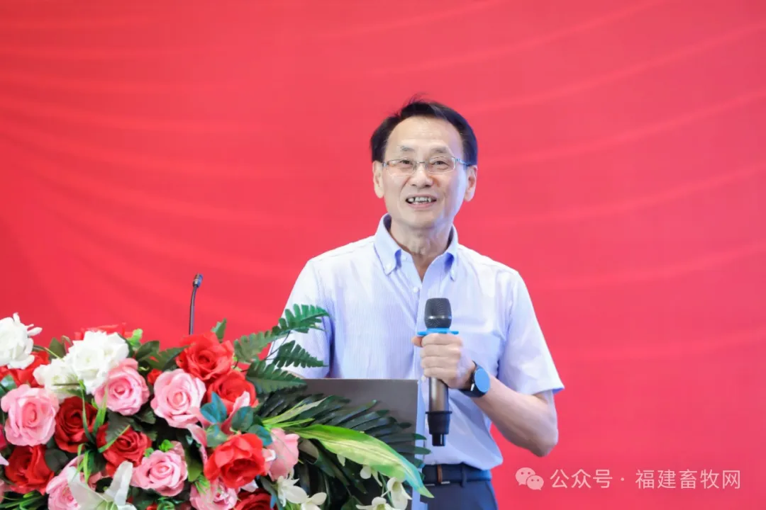吴俊