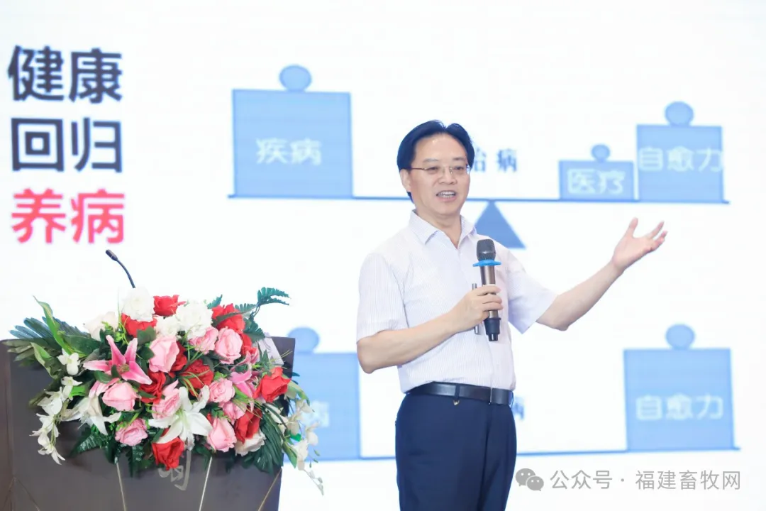 陈代文