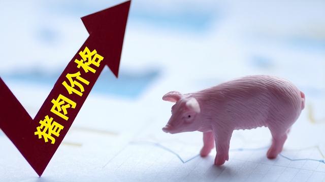 猪价底部支撑尚存，生猪市场仍有逆势上涨的走势？
