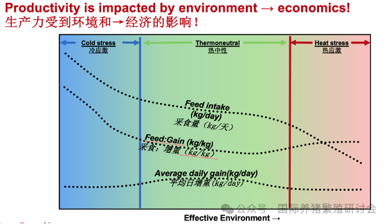 生产力与环境和经济的关系