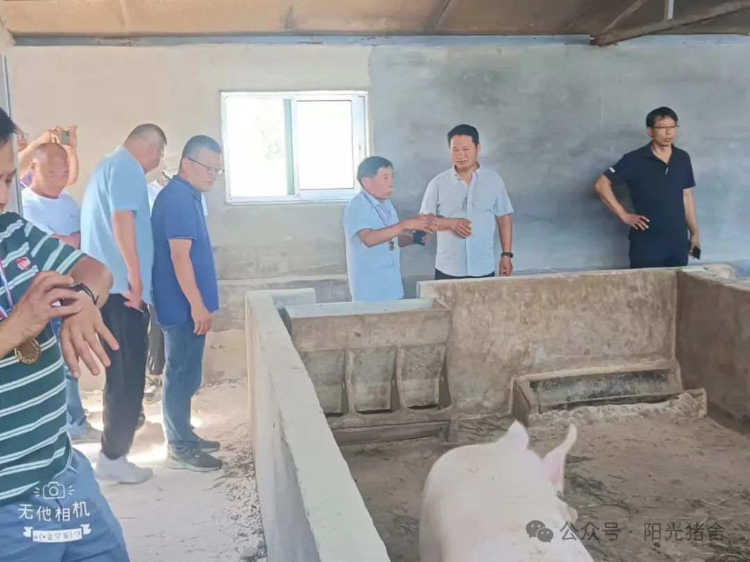 参观阳光猪舍