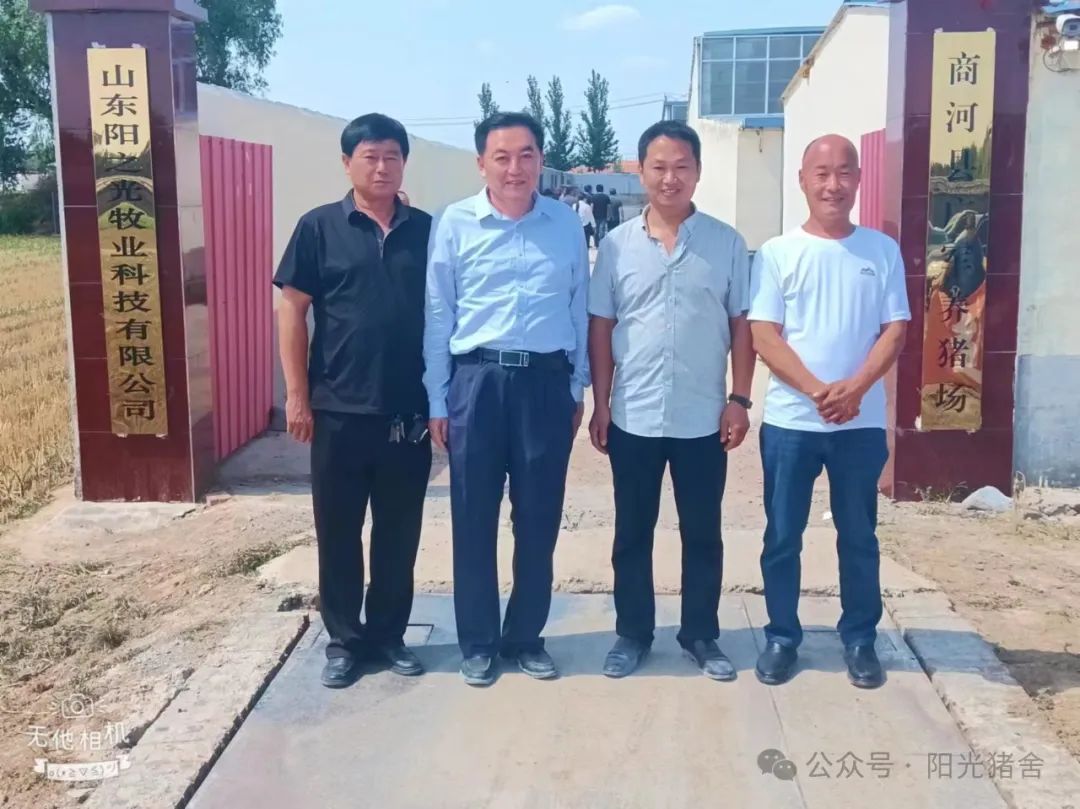 参观阳光猪舍