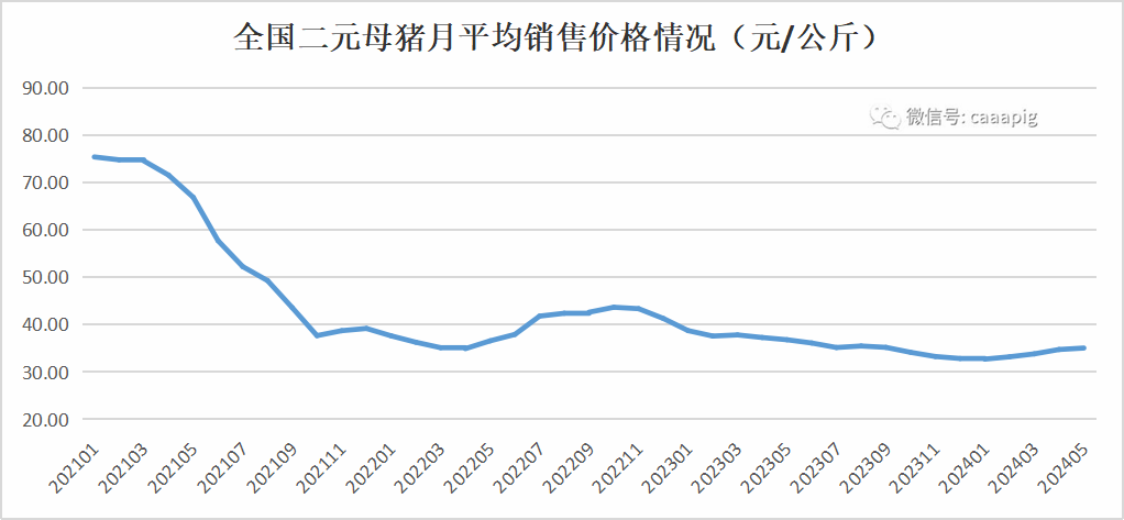 二元母猪价格