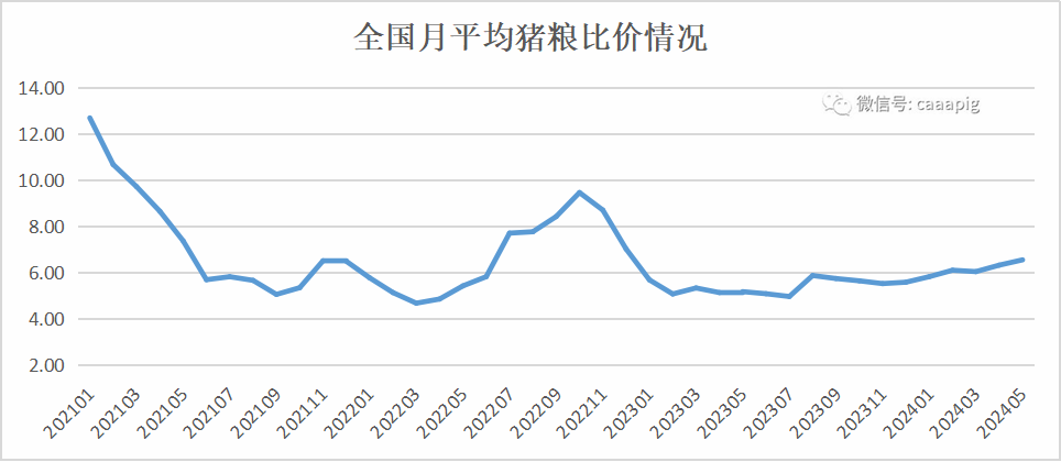 猪粮比走势