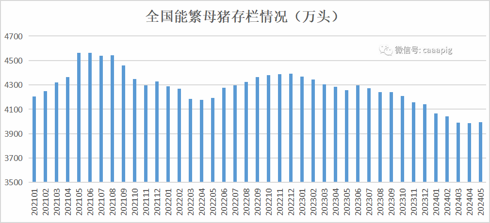 能繁母猪存栏