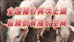 6月29日生猪价格：全国大部地区走势喜人，又一波涨价已经到来？