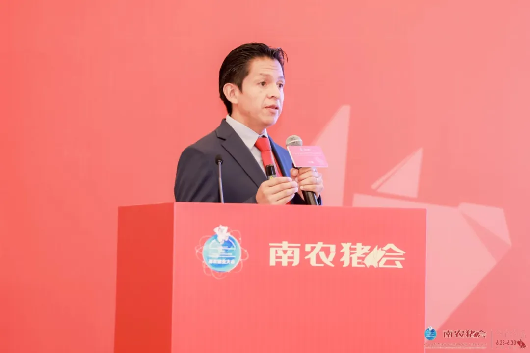 大卫·罗塞罗