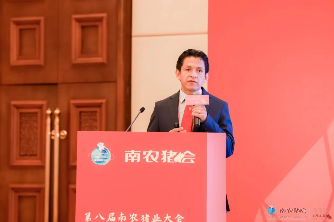 大卫·罗塞罗