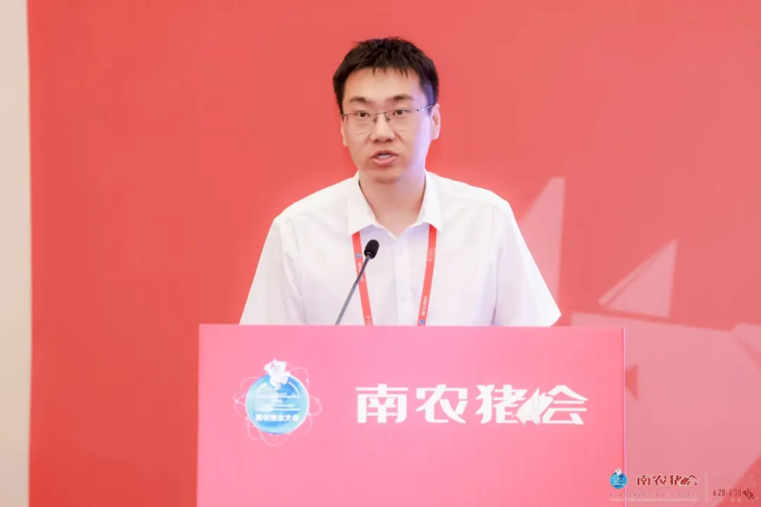 杨阳