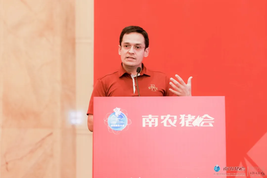 丹尼尔·林哈雷斯
