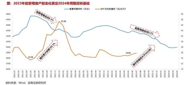 母猪产能去化