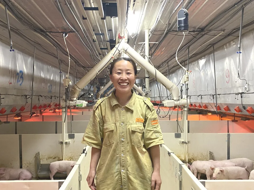 把养猪当做一份热爱，一份事业——访牧原集团超级领先奖获得者王珊珊！