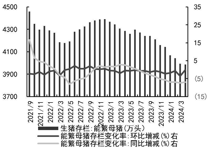 生猪存栏量