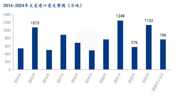 2024年1-5月玉米及替代品进口量数据出炉，透露出啥？