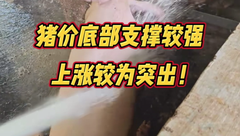 7月6日生猪价格：猪价维持涨势，市场落袋而安的情绪较强！