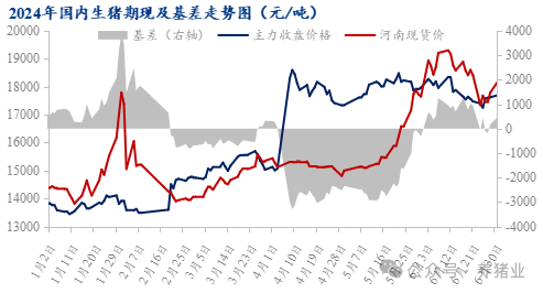 上半年行情走高！2024下半年猪价怎么走？