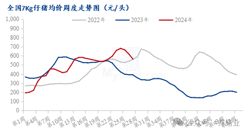 上半年行情走高！2024下半年猪价怎么走？